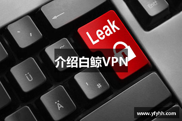 介绍白鲸VPN